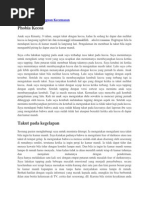 Download Contoh Kasus Gangguan Kecemasan by Ratu Toding SN237403338 doc pdf