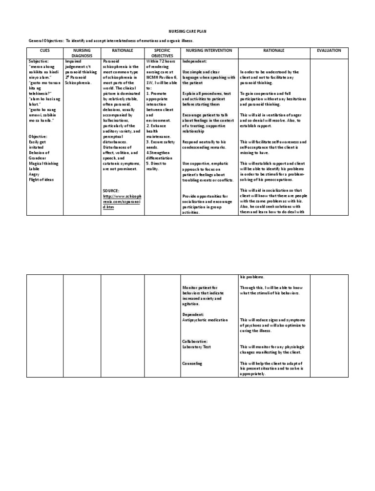 Nursing Care Plan | PDF | Paranoia | Delusion