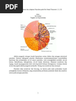 Perubahan Anatomi Dan Adaptasi Fisiologis Payudara Pada Ibu Hamil