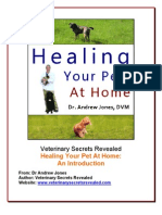 How To Treat and Heal Your Pet at Home?