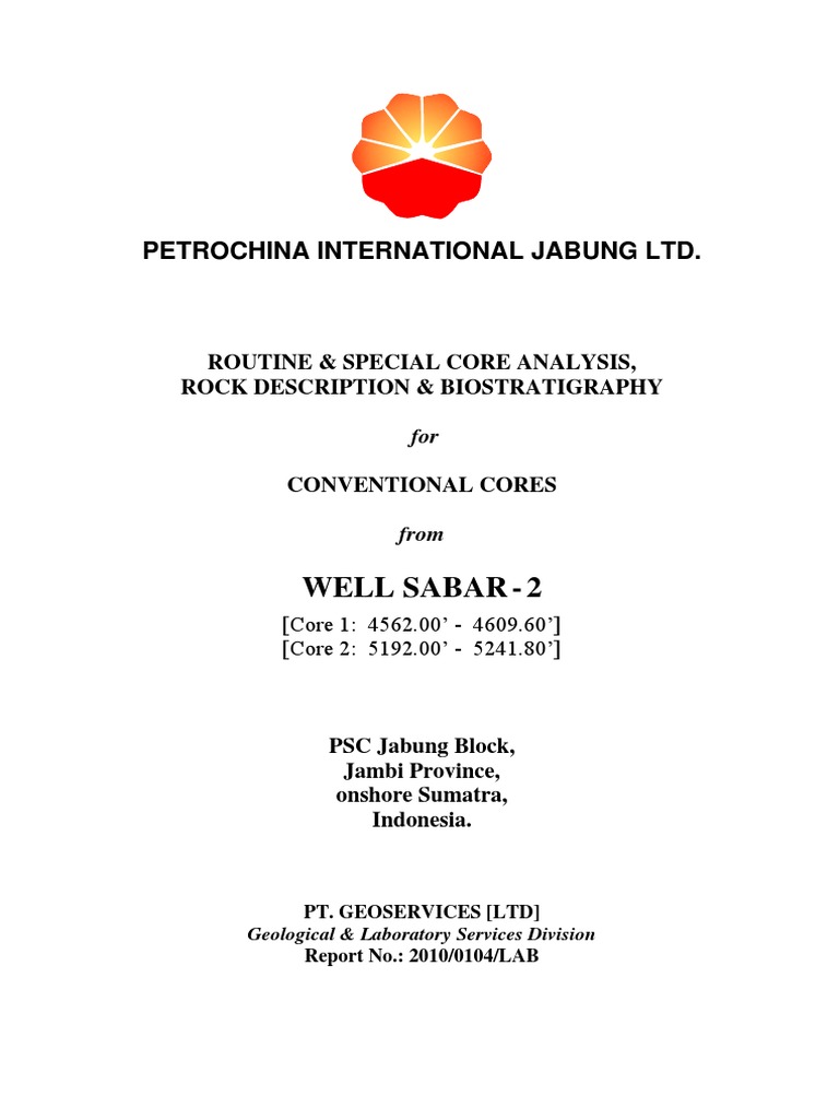 Core Analysis & Biostratigraphy Report | PDF | Porosity | Sandstone