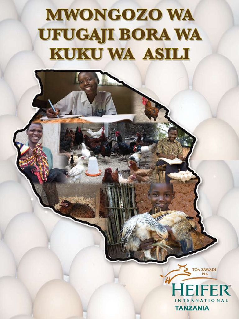 Chakula cha kuku wa nyama broiler picture