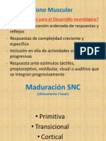 Tono muscular: definición, regulación y evaluación en el desarrollo infantil