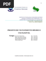 Projeto PAVIMENTAÇÃO - leite