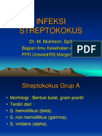 Infeksi Streptokokus