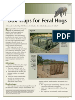 Box Traps For Feral Hogs