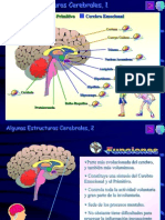 2.El_cerebro (1)
