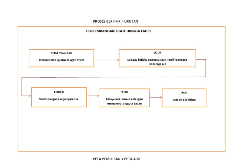 Sains Tingkatan 3 Perkembangan Zigot Hingga Lahir Pdf