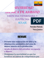 Sexaje en Pollos y Codornices - Muda Forzada