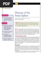 Download AVIAN- Diseases of the Avian Spleen by taner_soysuren SN23745133 doc pdf
