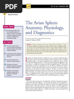 Download AVIAN-The avan spleen anatomyphysiology and diagnostics by taner_soysuren SN23745211 doc pdf