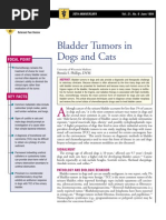 Download CF-Bladder Tumors in Dogs and Cats by taner_soysuren SN23745303 doc pdf