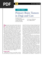 Download CF-Primary Brain Tumors in Dogs and Cats by taner_soysuren SN23745450 doc pdf