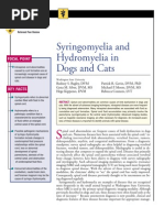 C+F-Syringomyelia and Hydro My Elia in Dogs and Cats