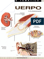 Atlas Tematico Del Cuerpo Humano