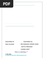Download Credit Rating Finance Assignment by rashikhsitesholder4607 SN23745904 doc pdf