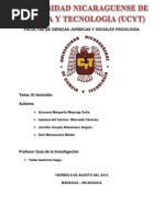 Tesis I Femicidio 2014