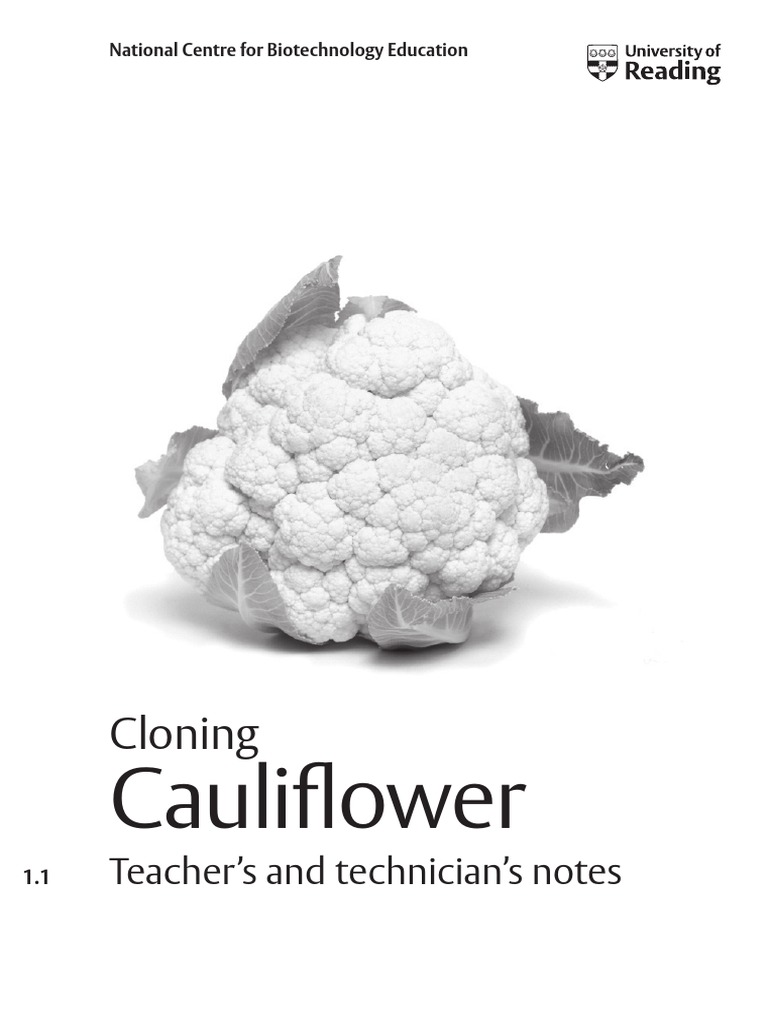 Cloning Cauliflower PDF Botany Biology