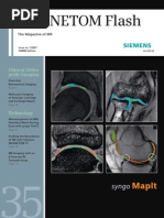 Download 2007 MAGNETOM FLASH 1 1 by Herick Savione SN2374768 doc pdf