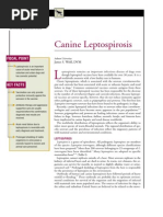 Canine Pathophysiology And Management Of Canine Colonic - 