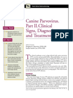 CANINE-Canine Parvovirus - Part II - Clinical Signs, Diagnosis and Treatment