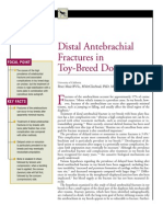 CANINE-Distal Antebrachial Fractures in Toy-Breed Dogs