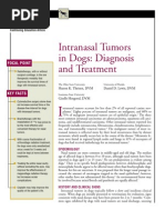 Download CANINE-ntranasal Tumors in dogs-Diagnosis and Treatment by taner_soysuren SN23748093 doc pdf