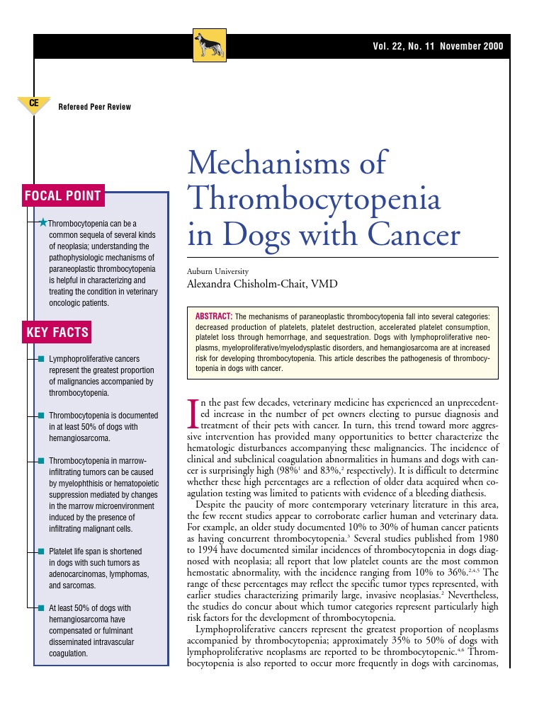 Thrombocytopenia Mechanisms in Canine Cancer | PDF | Platelet | Bone Marrow