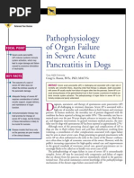 Download CANINE-Pathophysiology of Organ Failure in Severe Acute Pancreatitis in Dogs by taner_soysuren SN23748177 doc pdf