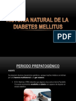 Historianaturaldeladiabetes 121116015315 Phpapp02