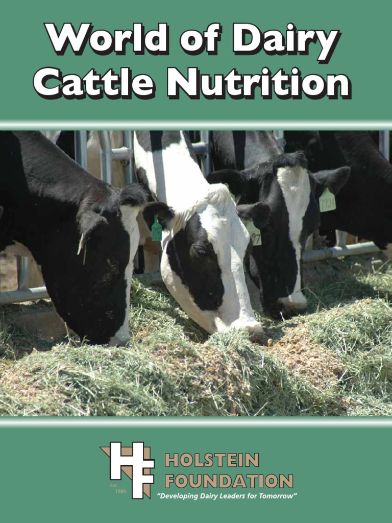 Dairy Cattle Nutrition Digestion Fat