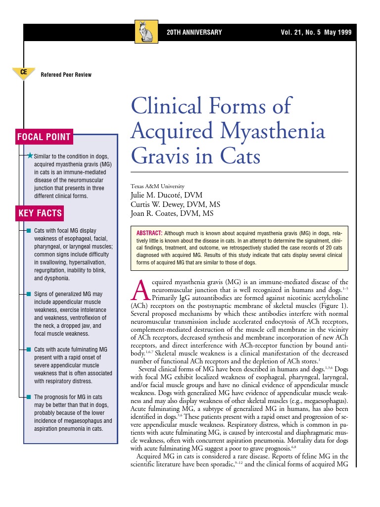 Myasthenia Gravis In Cats | Myasthenia Gravis in Cats – GZPFK