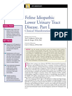 FELINE-Feline Idıopathic Lower Urinary Tract Disease - Part I.