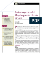 FELINE-Peritoneopericardial Diaphramatic Hernia in Cats