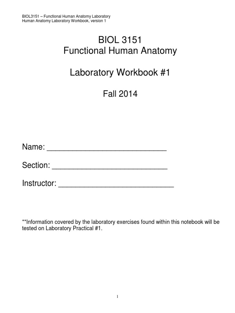 Functional Human Anatomy Lab Workbook | PDF | Anatomical Terms Of ...