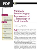 Download Minimally nvasive Surgery-Laparoscopy and Thoracoscopy in small Animals by taner_soysuren SN23752100 doc pdf