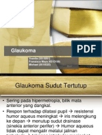 104782840-REFERAT-Glaukoma