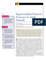 Supracondylar Femoral Fractures in Adult Animals