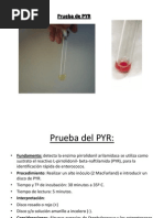 Prueba de Pyr | PDF | Estreptococo | Microbiología