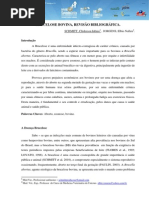 Brucelose Bovina, Revisão Bibliográfica