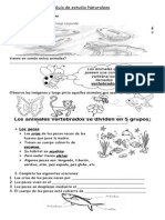 Guia Seres Vertebrados e Invertebrados