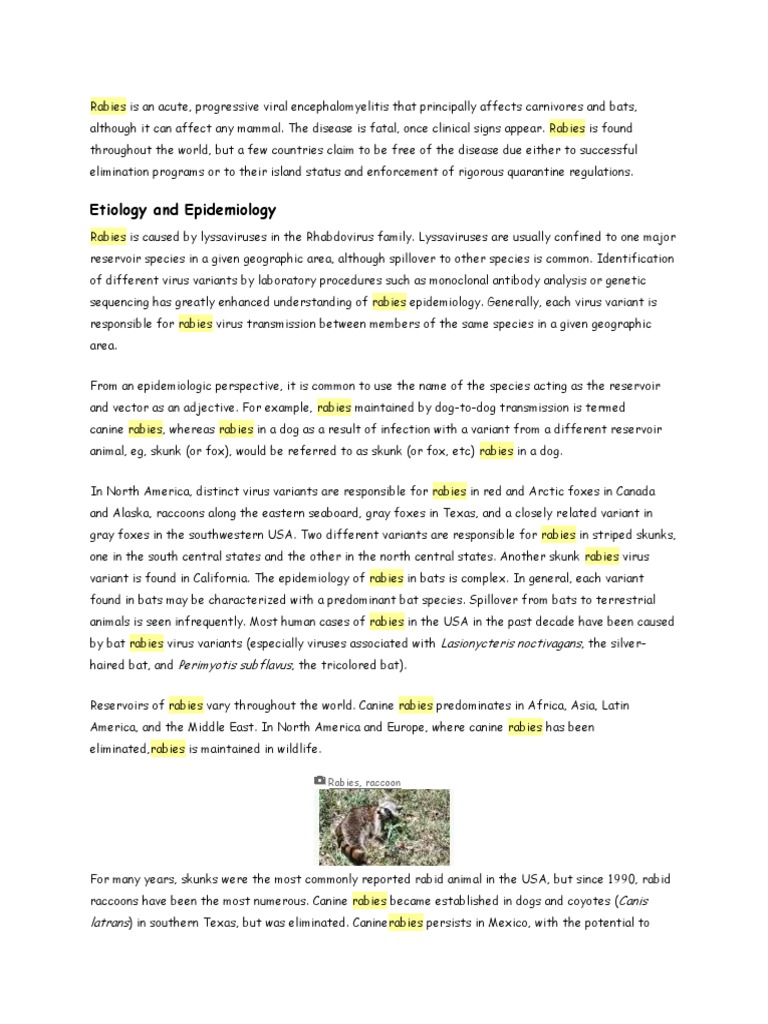 Rabies | PDF | Rabies | Transmission (Medicine)