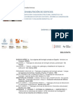 Lesiones Hormigon PDF