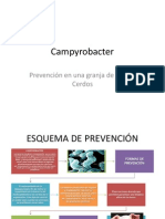 Prevención de Campyrobacter