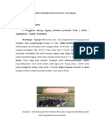 Download Hama Penyakit Tanaman Pangan - Hortikultura by  Afdhal Syukri06116011 by AFDHAL SYUKRI SN23757527 doc pdf