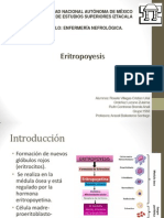 Eritropoyesis Terminada