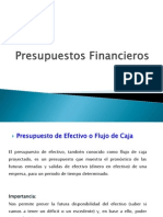 Presupuestos de Efectivo PDF