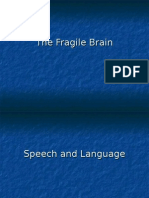 The Fragile Brain