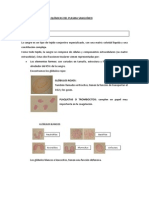 Características_físico-químicas_del_plasma_sanguíneo.pdf