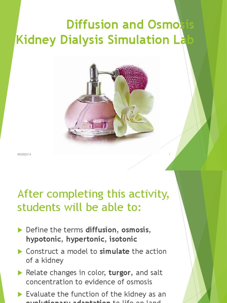 Lab 3 Diffusion and Osmosis Fall 2014 PDF Osmosis Chemistry
